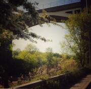 Frodsham - near the swing bridge! - 0905 25